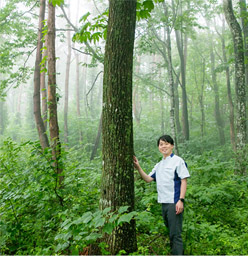 کمک به حفاظت از جنگل با کف پایدار مبتنی بر زیست توده ™